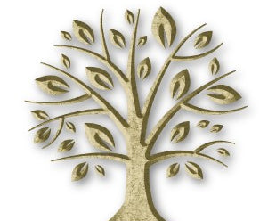 Irish Tree of Life symbol