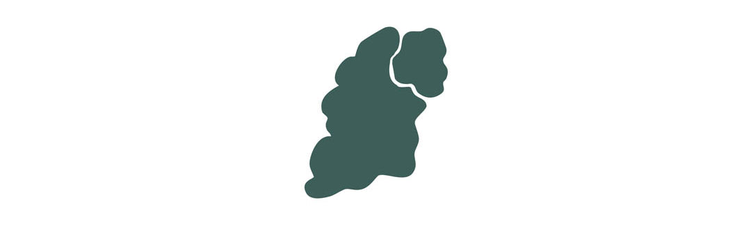 Irish partition symbol from History of Ireland jewellery