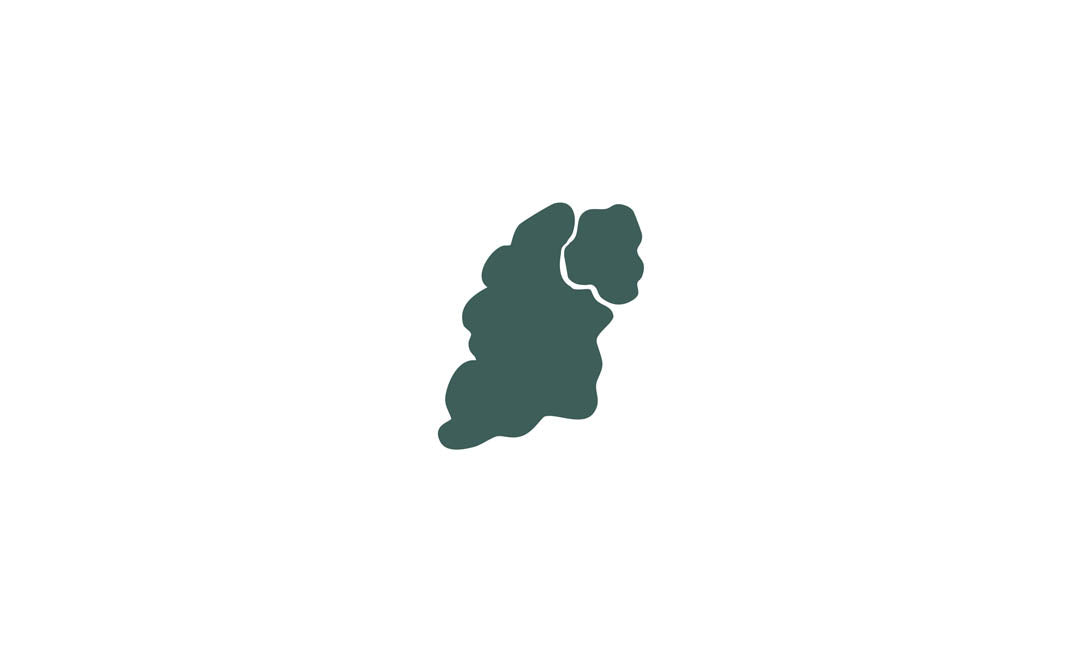 Irish partition symbol from History of Ireland jewellery